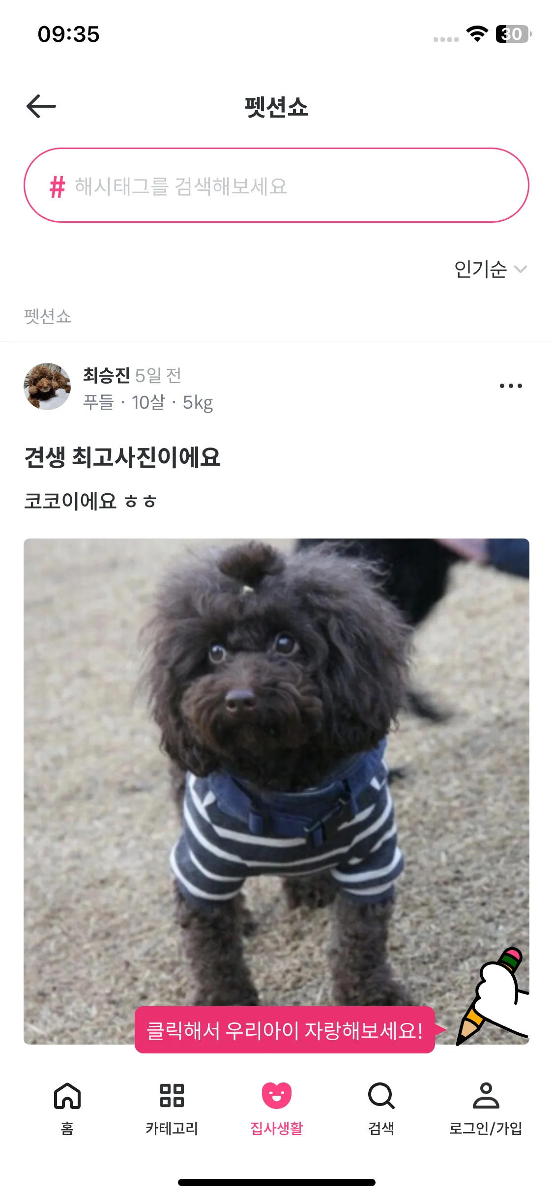 Test Image 8